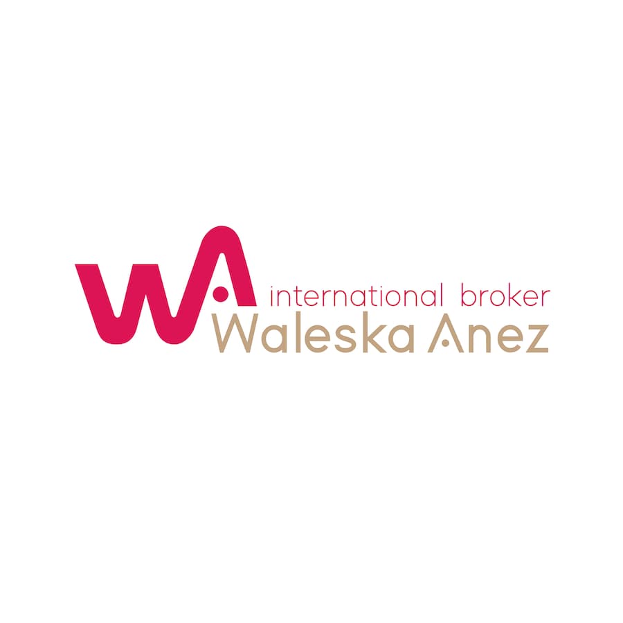 Waleska Anez Realtor Logo Design